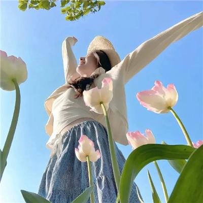 伊布里斯