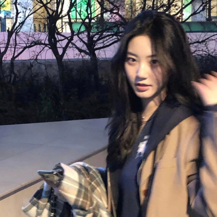 爱在飞